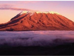 Are You Brave Enough To Climb Africa’s Mount Kilimanjaro?