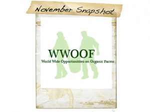 November Snapshot: WWOOF